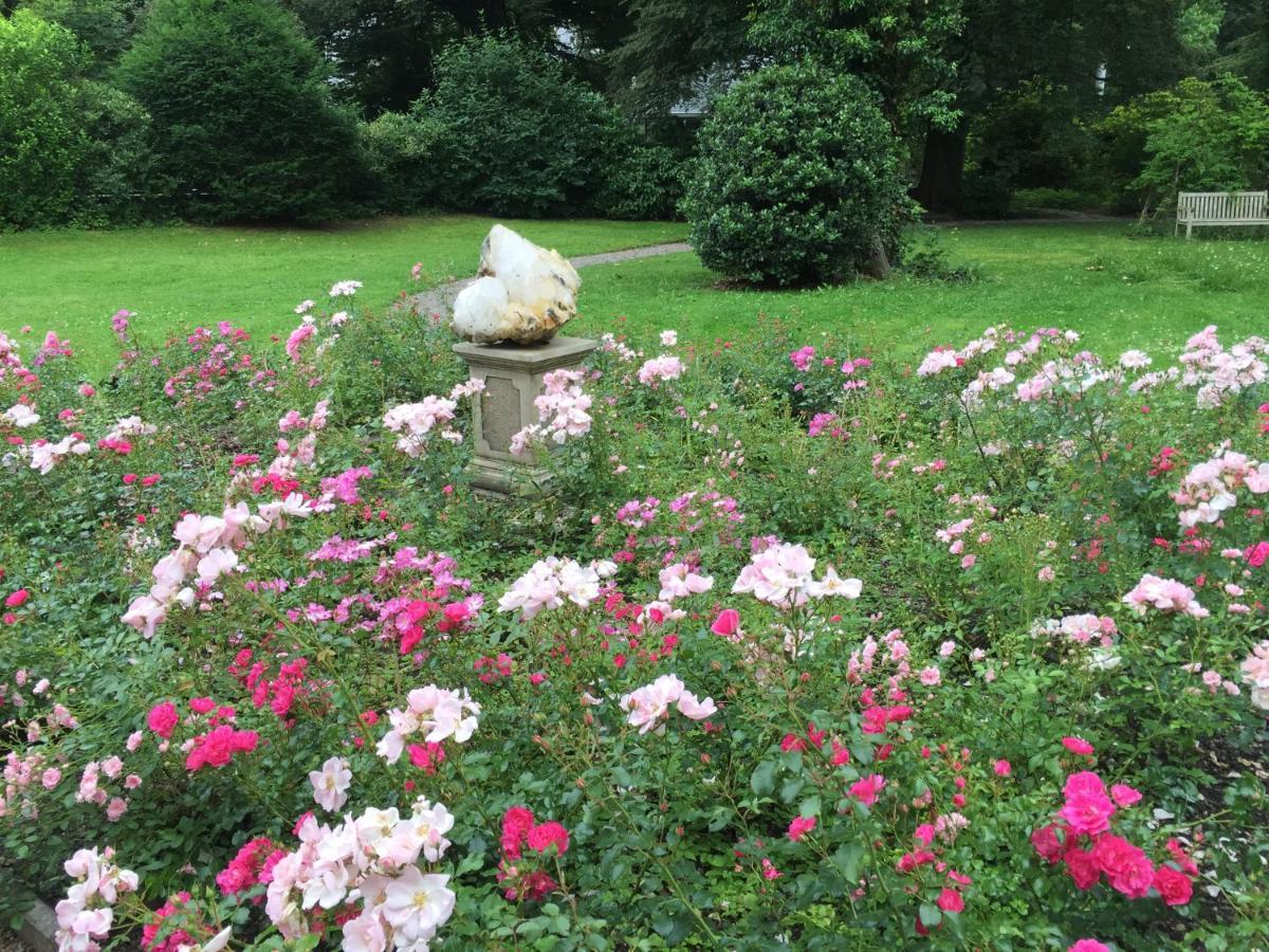 Villa Jakobsbrunnen Winterthur Buitenkant foto